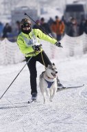 Lenk 2013